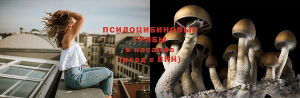 крисы Богданович