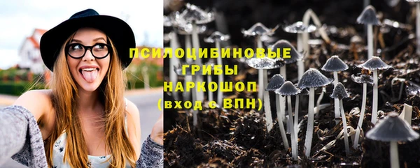 прущие крисы Бугульма