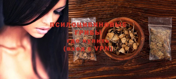 MDMA Богородицк