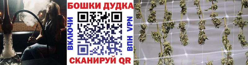 Канабис семена Динская